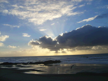 Oregon Coast Sunset Photo 1